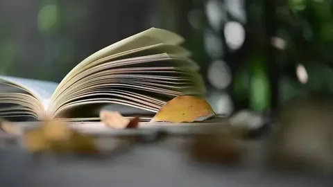插图位置